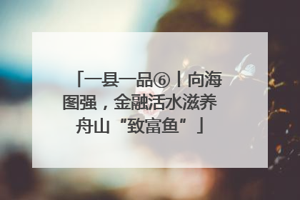 一县一品⑥丨向海图强，金融活水滋养舟山“致富鱼”