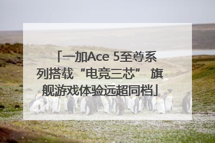 一加Ace 5至尊系列搭载“电竞三芯” 旗舰游戏体验远超同档
