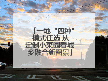一地“四种” 模式任选 从定制小菜园看城乡融合新图景