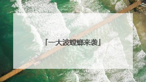 一大波螳螂来袭