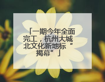 一期今年全面完工，杭州大城北文化新地标“揭幕”
