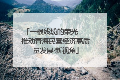 一根线缆的荣光——推动青海民营经济高质量发展·新视角