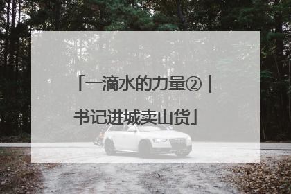 一滴水的力量②｜书记进城卖山货