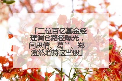 三位百亿基金经理调仓路径曝光，闫思倩、葛兰、郑澄然增持这些股
