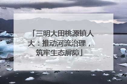 三明大田桃源镇人大：推动河流治理，筑牢生态屏障
