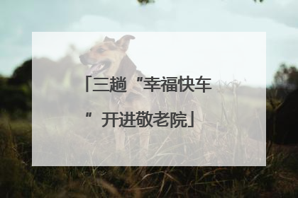 三趟“幸福快车”开进敬老院