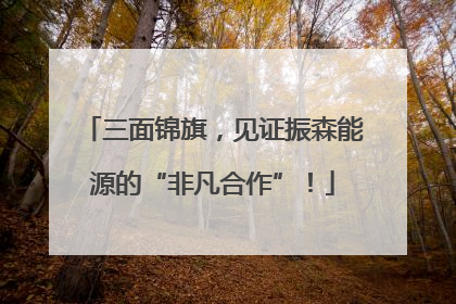 三面锦旗，见证振森能源的“非凡合作”！