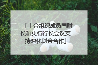 上合组织成员国财长和央行行长会议支持深化财金合作