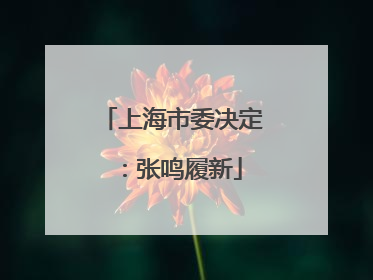 上海市委决定：张鸣履新