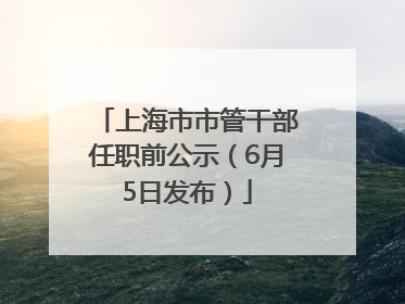 上海市市管干部任职前公示（6月5日发布）