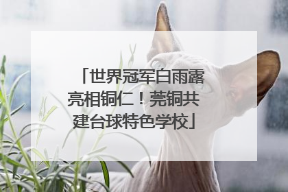世界冠军白雨露亮相铜仁！莞铜共建台球特色学校