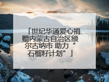世纪华通爱心捐赠内蒙古自治区额尔古纳市 助力“石榴籽计划”