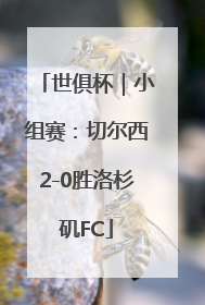 世俱杯｜小组赛：切尔西2-0胜洛杉矶FC