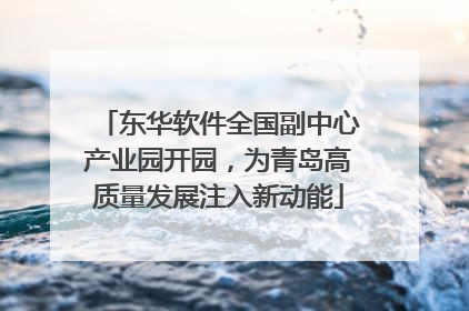 东华软件全国副中心产业园开园，为青岛高质量发展注入新动能