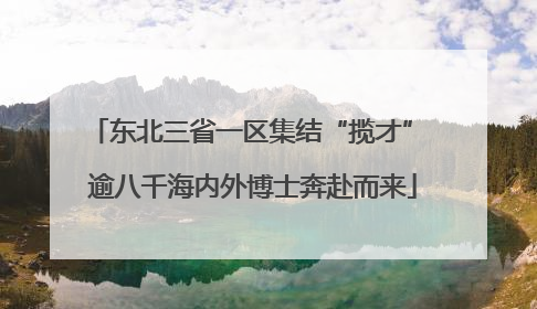 东北三省一区集结“揽才” 逾八千海内外博士奔赴而来