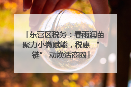 东营区税务：春雨润苗聚力小微赋能，税惠 “链” 动焕活商圈