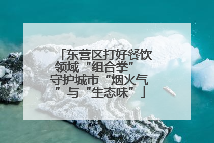 东营区打好餐饮领域“组合拳” 守护城市“烟火气”与“生态味”