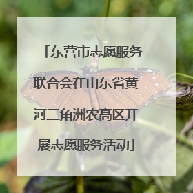 东营市志愿服务联合会在山东省黄河三角洲农高区开展志愿服务活动