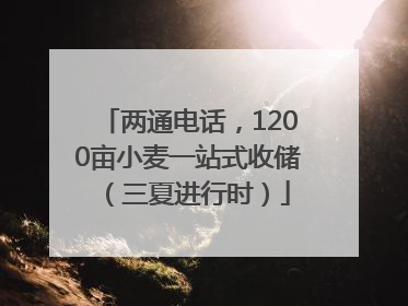 两通电话，1200亩小麦一站式收储（三夏进行时）