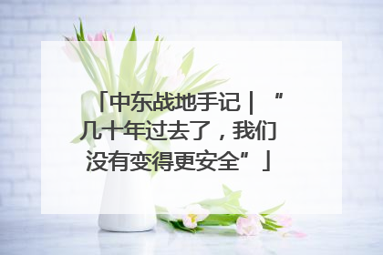 中东战地手记｜“几十年过去了，我们没有变得更安全”