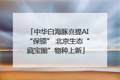 中华白海豚喜提AI“保镖” 北京生态“藏宝图”物种上新