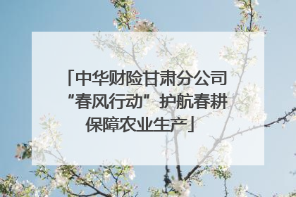 中华财险甘肃分公司“春风行动”护航春耕 保障农业生产