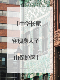 中华长尾雀现身太子山保护区