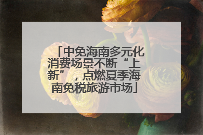 中免海南多元化消费场景不断“上新”，点燃夏季海南免税旅游市场