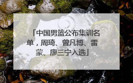 中国男篮公布集训名单，周琦、曾凡博、雷蒙、廖三宁入选
