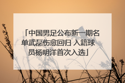 中国男足公布新一期名单武磊伤愈回归 入籍球员杨明洋首次入选