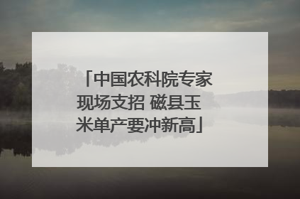 中国农科院专家现场支招 磁县玉米单产要冲新高