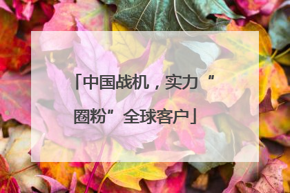 中国战机，实力“圈粉”全球客户