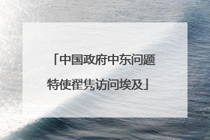 中国政府中东问题特使翟隽访问埃及