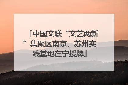 中国文联“文艺两新”集聚区南京、苏州实践基地在宁授牌