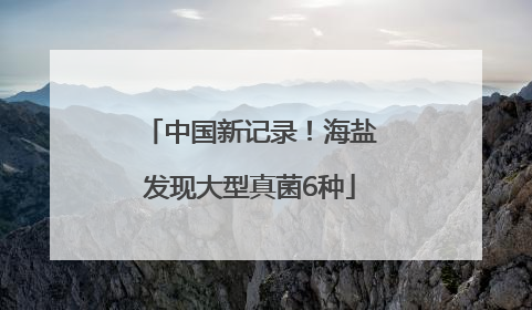 中国新记录！海盐发现大型真菌6种