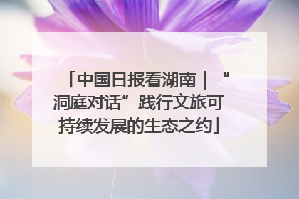 中国日报看湖南｜“洞庭对话”践行文旅可持续发展的生态之约
