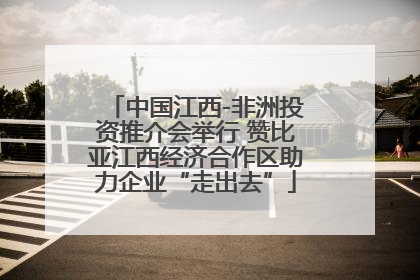 中国江西-非洲投资推介会举行 赞比亚江西经济合作区助力企业“走出去”