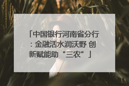 中国银行河南省分行：金融活水润沃野 创新赋能助“三农”