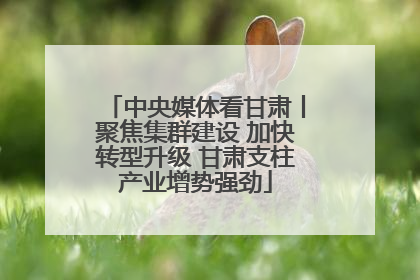 中央媒体看甘肃丨聚焦集群建设 加快转型升级 甘肃支柱产业增势强劲