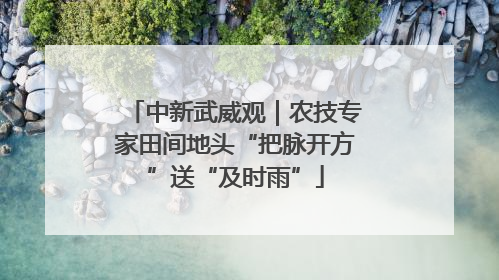 中新武威观｜农技专家田间地头“把脉开方”送“及时雨”