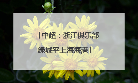中超：浙江俱乐部绿城平上海海港
