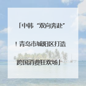 中韩“双向奔赴”！青岛市城阳区打造跨国消费狂欢场