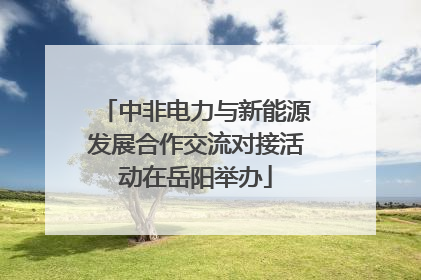 中非电力与新能源发展合作交流对接活动在岳阳举办