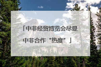 中非经贸博览会尽显中非合作“热度”