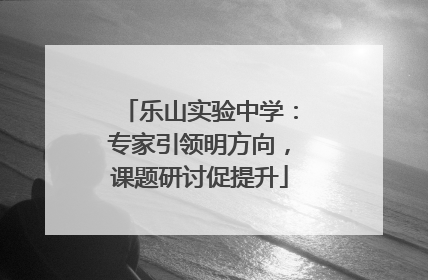 乐山实验中学：专家引领明方向，课题研讨促提升