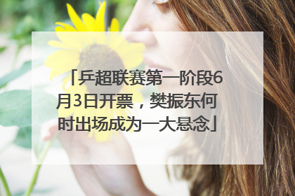 乒超联赛第一阶段6月3日开票，樊振东何时出场成为一大悬念