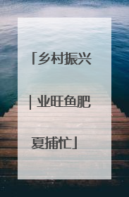 乡村振兴｜业旺鱼肥夏捕忙
