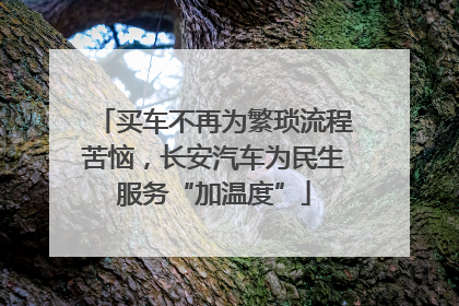 买车不再为繁琐流程苦恼，长安汽车为民生服务“加温度”