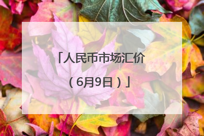 人民币市场汇价（6月9日）