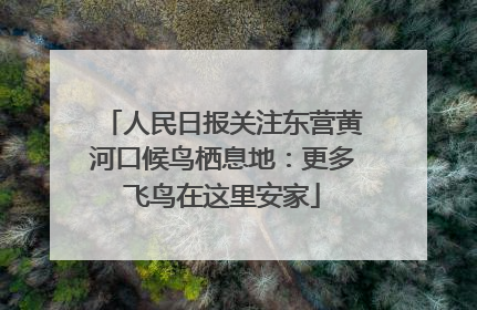 人民日报关注东营黄河口候鸟栖息地：更多飞鸟在这里安家